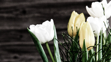 Startseite-Impressionen_360x200px.jpg Startseite-Impressionen_360x200px.jpg